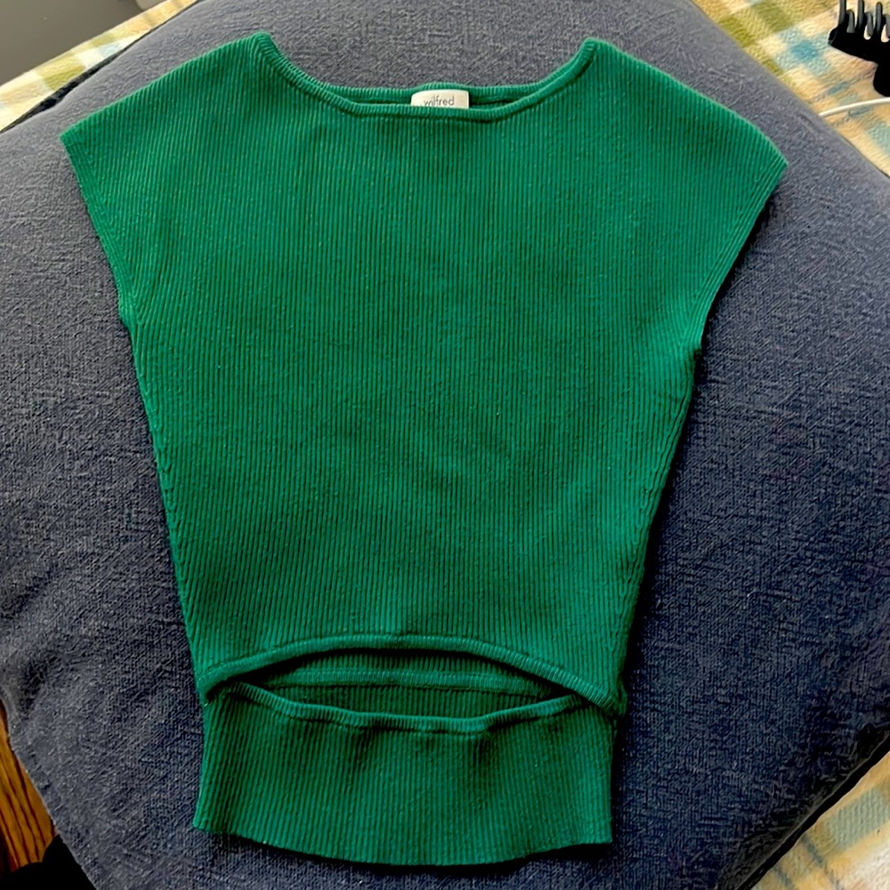 Aritzia Wilfred Top